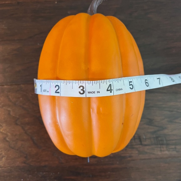 Fall Decor - Picture 8 of 14